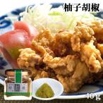 「20%OFFクーポン対象」 九州産ゆずと青唐辛子を熟成 柚子胡椒 40g 柚子こしょう 青唐辛子 辛味調味料 田中醤油店