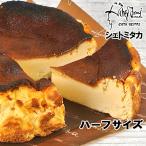 ショッピングチーズケーキ バスクチーズケーキ お試しサイズ 九州産クリームチーズたっぷり ハーフサイズ シェ トミタカ  送料無料