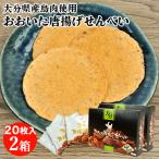 大分産ブランド鶏うまかハーブ鳥使用 おおいた唐揚げせんべい 20枚入×2箱セット 個包装 お土産 どんど焼本舗 送料込