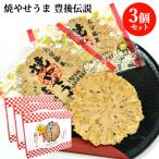 大分銘菓 焼やせうま 豊後伝説 14枚入×3個セット 郷土菓子 せんべい 個包装 お土産 南光物産 大分物産 送料込