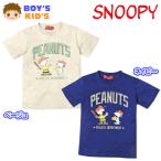 送料無料男児キッズ本体綿100％半...