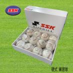 SSK エスエスケイ 硬式野球 練習球 高校野球 ボール GD85