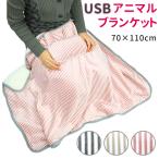 「お盆も出荷中」 電気 ブランケット USB ひざ掛け ストライプ 暖かい 大判 膝掛け カイロ 枕 ホット 電気ひざ掛け USBブランケット あったか グッズ ポイント消