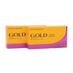Kodak カラーネガフィルム GOLD 200 120 10本パック
