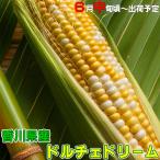 香川県産 ドルチェドリーム 5kg 6月中旬頃より出荷予定 朝採り フルーツコーン 農予冷 甘い とうもろこし 高糖度 バイカラーコーン 産地直送 贈答用 国産 お土産