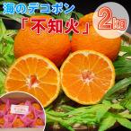 吉田農園のでこぽん「