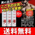  цитруллин аргинин дополнение огромный . иметь количество supplement L- цитруллин +L- аргинин MAX 30 день минут 240 шарик входить ×12 шт. комплект бесплатная доставка одновременного использования больше большой supplement 