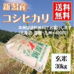 送料無料(本州のみ) 新潟産コシヒカリ 玄米30kg 令和元年産　お米