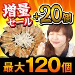 タイムセール 餃子 最大120個 お取り寄せ 送料無料 選べるセット ぎょうざのたれ付き ご当地グルメ