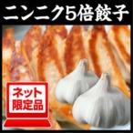 ショッピング餃子 餃子 メガ盛り120個 お取り寄せ ニンニク5倍餃子 ぎょうざのたれ付き ビール おつまみ