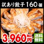 訳あり ワケあり わけあり 餃子160個 ぎょうざ お取り寄せ たれ付き 食品 ご当地グルメ