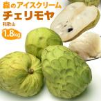 チェリモヤ(約1.8kg)和歌山産 国産 世界三大美果 送料無料