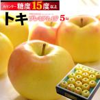 toki яблоко premium 15° ( примерно 5kg) Aomori производство специальный отбор .. для подарок toki время яблоко яблоко ..apple сахар раз 15 раз и больше время яблоко to жираф go еда фрукты фрукты 