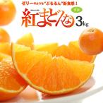 紅まどんな みかん 2L-3L×10〜12玉 (約3kg) 愛媛産 秀品 お歳暮 高級 ギフト 贈答 紅マドンナ べにまどんな ベニマドンナ ミカン 蜜柑 柑橘 フルーツ 果物 爆買