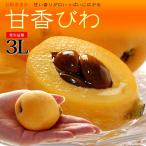  теплица .. локва (3L-4L/ примерно 1kg) Nagasaki производство превосходящий товар ... локва ..biwa подарок .. для большой шар локва biwa.. house культивирование еда фрукты фрукты локва . предмет ......