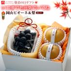  День почитания пожилых людей подарок специальный Okayama pio-ne(1.) × день рисовое поле. .. груша (2 шар ) Okayama / Ooita производство виноград груша комплект осень месяц фрукты фрукты комплект подарок 2026