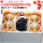  День почитания пожилых людей подарок специальный Okayama pio-ne(1.) × день рисовое поле. .. груша (4 шар ) Okayama / Ooita производство виноград груша комплект осень месяц фрукты фрукты комплект подарок 2026