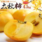 futoshi осень хурма ( примерно 4.5kg) Kumamoto * Ehime * Fukuoka производство превосходящий товар хочет ..... хурма .. устрица persimmon высококлассный . хурма еда фрукты фрукты хурма подарок ........
