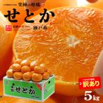 訳あり せとか (約5kg) 愛媛産 露地栽培 家庭用 せとか みかん せとか訳あり ワケアリ わけあり 訳アリ 柑橘  瀬戸香 食品 フルーツ 果物 みかん 甘い