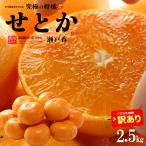 ショッピングワケアリ 訳あり せとか (約2.5kg) 愛媛産 露地栽培 家庭用 せとか みかん せとか訳あり ワケアリ わけあり 訳アリ 柑橘  瀬戸香 食品 フルーツ 果物 みかん 甘い