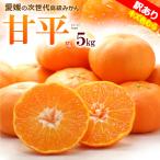 ショッピングわけアリ 訳あり 甘平 みかん ご家庭用 (約5kg) 愛媛産 甘平 かんぺい 訳あり わけあり ワケアリ みかん 食品 フルーツ 果物 みかん 柑橘 爆買