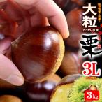  каштан 3L ( примерно 3kg) Kumamoto * Ehime * Ibaraki производство крупный мир каштан сырой каштан ..kli еда фрукты фрукты каштан 3 kilo 