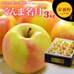 ぐんま名月 りんご (3kg) 長野産 秀品 贈答用 名月りんご ぐんま名月 めいげつ メイゲツ apple ringo リンゴ 林檎 食品 フルーツ 果物 りんご ギフト 贈答 お供