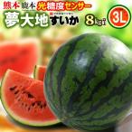  Kumamoto ... сон большой земля олень книга@. арбуз (3L×1 шар ) Kumamoto производство превосходящий товар Kumamoto арбуз .. подарок Kumamoto ... запад . арбуз ... сахар раз 11 раз и больше выбор . свет сенсор пустой . инспекция завершено 