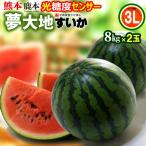 熊本すいか夢大地鹿本のスイカ熊本産...
