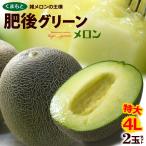 肥後グリーン メロン 4L×2玉 (約4kg) 