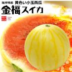 ショッピングスイカ 金福スイカ (約2kg-2.5kg×1玉) 福井産 秀品 すいか 西瓜 黄色 黄金 金福 きんぷく 金福スイカ 縁起 食品 フルーツ 果物 スイカ お中元 御中元 ギフト 贈答