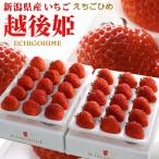 . после . клубника ( примерно 450g×2P) Niigata производство клубника . подарок .. для .. крупный большой шар высококлассный клубника фрукты фрукты клубника . после ......... предмет ...... покупка 