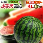  хвост цветок ....A товар (4L×1 шар ) Yamagata производство превосходящий товар большой шар хвост цветок . арбуз арбуз ... запад . хвост цветок ......watermelon suika suica свет сахар раз сенсор сахар раз пустой . инспекция фрукты 