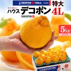 ショッピングデコポン ハウス デコポン 4L 12玉前後 (約5kg) 熊本産 贈答 化粧箱 ギフト 糖度13度以上 優品 秀品 大玉 甘い 熊本デコポン dekopon 不知火 でこぽん みかん お歳暮