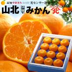 ハウスみかん 山北みかん (約1kg) 高知産 温室みかん 秀品 S M 小玉 光センサー ハウス栽培 温室みかん部会 フルーツ 果物 みかん 温州みかん ミカン 蜜柑