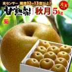 甘熟 あきづき 秋月梨 3L-5L (約5kg) 産地お任せ 秀品 梨 なし ナシ pear 光センサー 糖度12度以上 大玉 秋月 食品 フルーツ 果物 和梨 残暑見舞い ギフト 御供