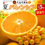 ショッピングわけアリ 久右門農園 バレンシアオレンジ 訳あり ご家庭用 (約5kg) 和歌山県 有田郡 湯浅町産 国産 バレンシア オレンジ おれんじ valencia orange わけあり ワケアリ