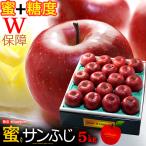 4 premium солнечный .. яблоко ( примерно 5kg) Aomori * Iwate производство средний шар солнечный .. солнечный Fuji san .. меласса ввод & сахар раз 13 раз и больше специальный отбор .. для яблоко ..apple яблоко подарок по случаю конца года 