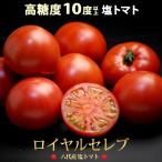 塩トマト ロイヤルセレブ (約900g) 熊本県 八代産 とまと 塩とまと はちべえトマト 高級 フルーツトマト フルーツ 糖度10度以上 高糖度 甘い 八代 トマト ギフト