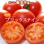  желтохвост ksna in ( примерно 1kg) Gunma производство фрукты помидор фрукты помидор ... сахар раз 9 раз и больше brix 9 высота сахар раз .. еда овощи .. . помидор подарок ........