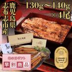 [ День матери скидка за ранний заказ товар ] большой ..... жарение 130g~140g 4 хвост местного производства угорь Кагосима префектура производство угорь праздник подарок подарок бесплатная доставка несессер ввод tare плоды зантоксилума 