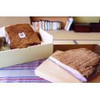  без добавок бекон [1/2 листов ] | Asuka копчение ателье [ Sakura burger ]( Nara / Akira день .)