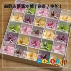 [. горячая вода ] плата .. .40g×25 шт несессер входить | лес . Yoshino . главный офис ( Nara /..)