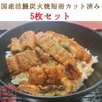 5 листов ввод комплект местного производства . угорь . жарение .. жарение угорь ... уголь огонь ... tanzaku разрезанный .65~7g+tare15g+ плоды зантоксилума маленький пакет 1. комплект ×5 комплект подарок .. день рука земля производство праздник 