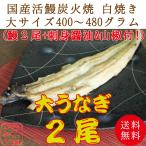  бесплатная доставка! местного производства . угорь уголь огонь . белый жарение большой размер 2 хвост комплект ... угорь 400~480 грамм .. жарение .. жарение подарок земля для .. день рука земля производство праздник день рождения . видеть Mai .