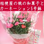 【母の日】カーネーション5号鉢と桔梗屋の信玄桃(6個入り)