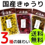 Yahoo! Yahoo!ショッピング(ヤフー ショッピング)国産 きゅうり漬物 3種盛り  （ ピリ辛 ・ ぶつ切りしば漬 ・ 辛子漬 ） 送料無料 メール便  （ きゅうり 胡瓜 漬物 醤油漬け ）