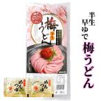和歌山県産梅肉を丁寧に練りこんだ半生うどん　梅うどん 半生 早ゆで つゆ付 2人前 ( 香川 讃岐 うどん 遍路 長期保存 )