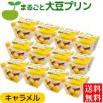  большой бобы пудинг гладкий пудинг мясо для жаркого to карамель 130kcal ×12 шт бесплатная доставка yamak