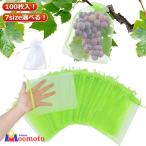防鳥ネット 果実袋 果実 袋 果実袋 ガーデニング用品 100枚入 園芸用品 果物保護バッグ 果樹用資材 防虫 巾着式 防虫ネット 果物保護ネット メ